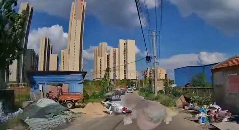 娱乐生活 第9页